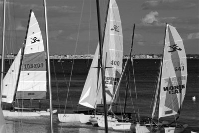 g2/67/530467/3/65682801.11SE5d7D.jpg
