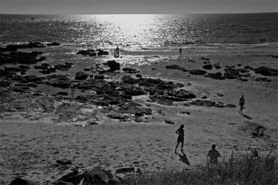 La cte sauvage (Le Croisic - Le Pouliguen)