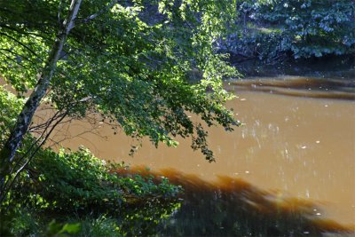 Limousin's pond