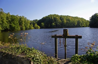 Limousin's pond