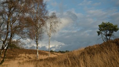 g2/67/546967/3/148140231.x4KIUAKd.jpg