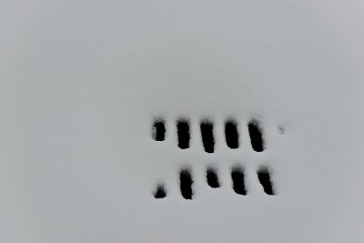 g2/67/546967/3/148431199.JNa69qpp.jpg
