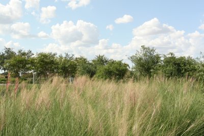 Africa...
