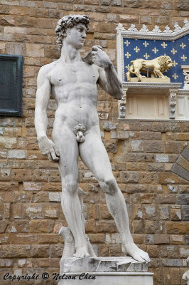 David (replica) in front of  Palazzo Vecchio