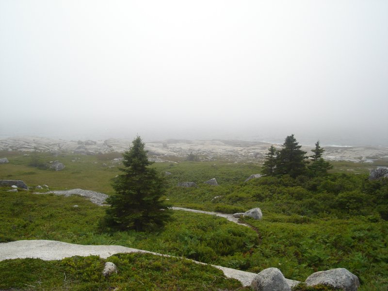 DSC00583.JPG