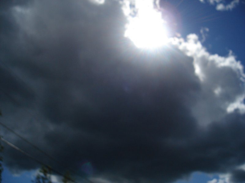 DSC00679.JPG