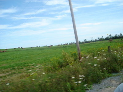 DSC00609.JPG