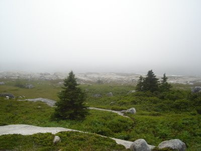 DSC00583.JPG