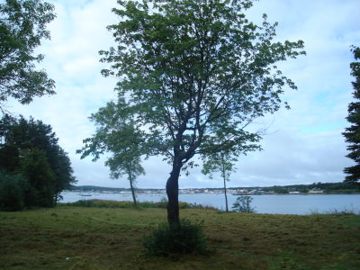 DSC00992.JPG