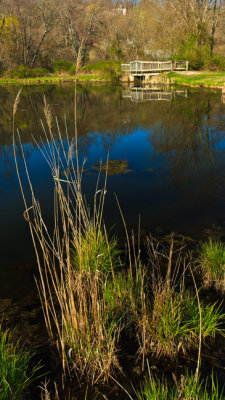 _MG_5107.jpg