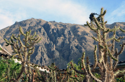 DSC_0813.jpg