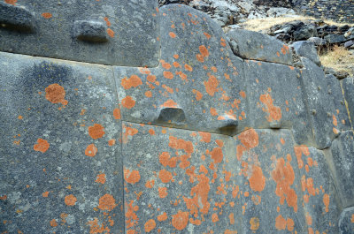 DSC_0855.jpg