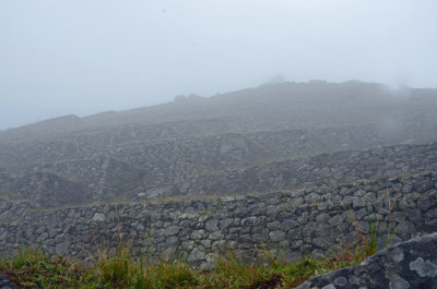 DSC_1108.jpg