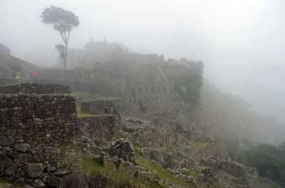DSC_1137.jpg