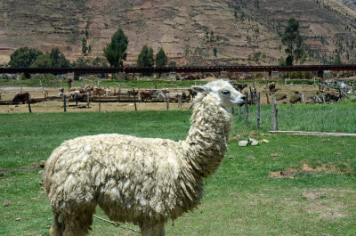 DSC_1576.jpg