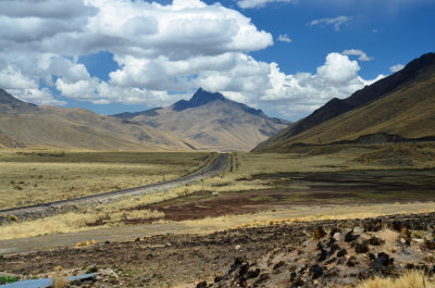 DSC_1669.jpg