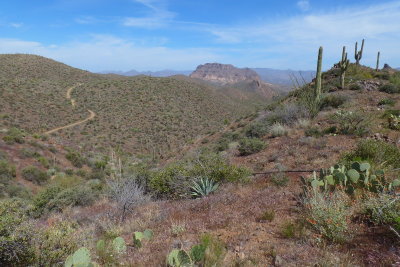Tonto National Forest - FR 4