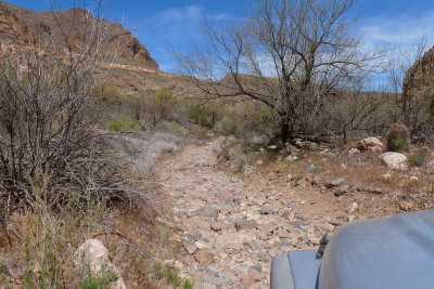 Tonto National Forest - FR 4
