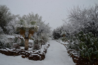 Entrance to Chihuahuan Garden