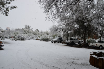 Staff Parking Lot