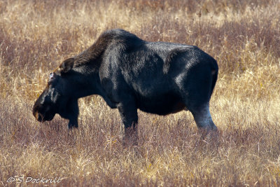 20121111-_53K6654.jpg