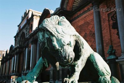 2 - Lion in front of the Glyptoteck - Copenhague.jpg