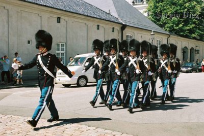 20- Royal Guard in Amalienborg.jpg