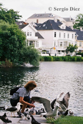 28c-Estanque en Stavanger.jpg