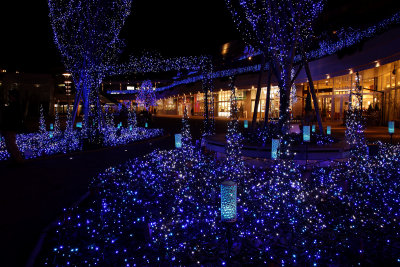 Merry X-mas!_My home town illumination