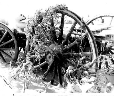 Ice Storm, Iowa, 1973