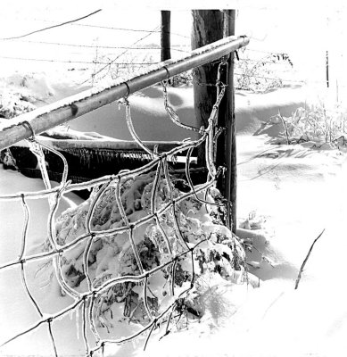 Ice Storm, Iowa 1973