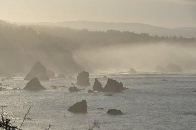 DSC_4327.jpg