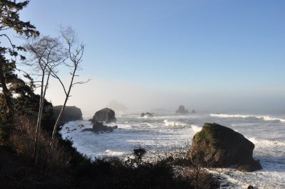 DSC_4395.jpg