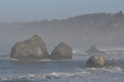 DSC_4432.jpg