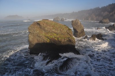 DSC_4469.jpg