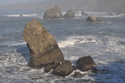 DSC_4510.jpg