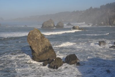 DSC_4516.jpg