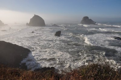 DSC_4537.jpg