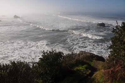 DSC_4597.jpg