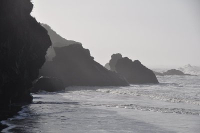 DSC_4662.jpg