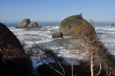 DSC_4704.jpg