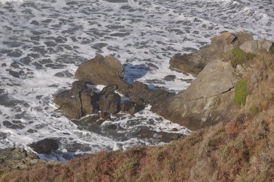 DSC_4767.jpg