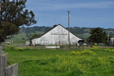 Backroads of Southern Sonoma & Northern Marin Counties