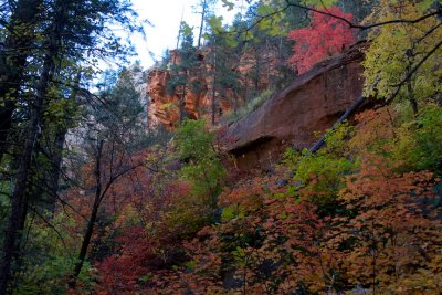 West Fork of Oak Creek