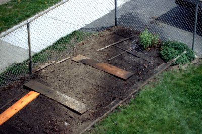 02 The garden.jpg