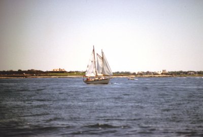 07 Eastern Passage under sail 01.jpg