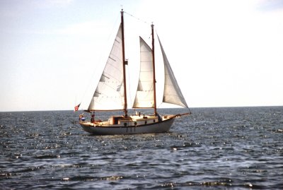 09 Eastern Passage under sail 02.jpg