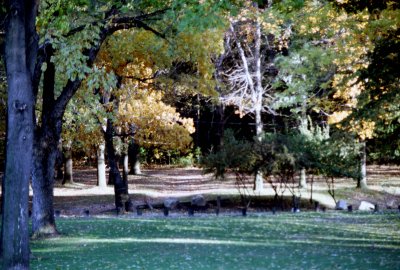 02 Fall colors beginning to show at Cobbs Hill Park.jpg