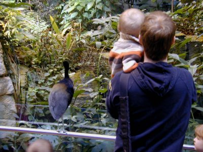 01 Biodome - Keith, Sid and feathered friend.JPG