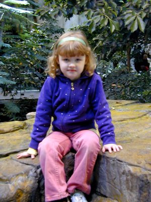 03 Biodome - Violet.JPG